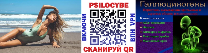 Галлюциногенные грибы Psilocybine cubensis Купить Кирс